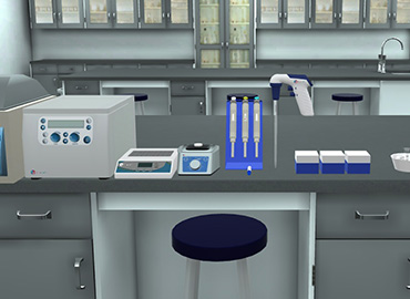 Virtual DNA cloning experiment