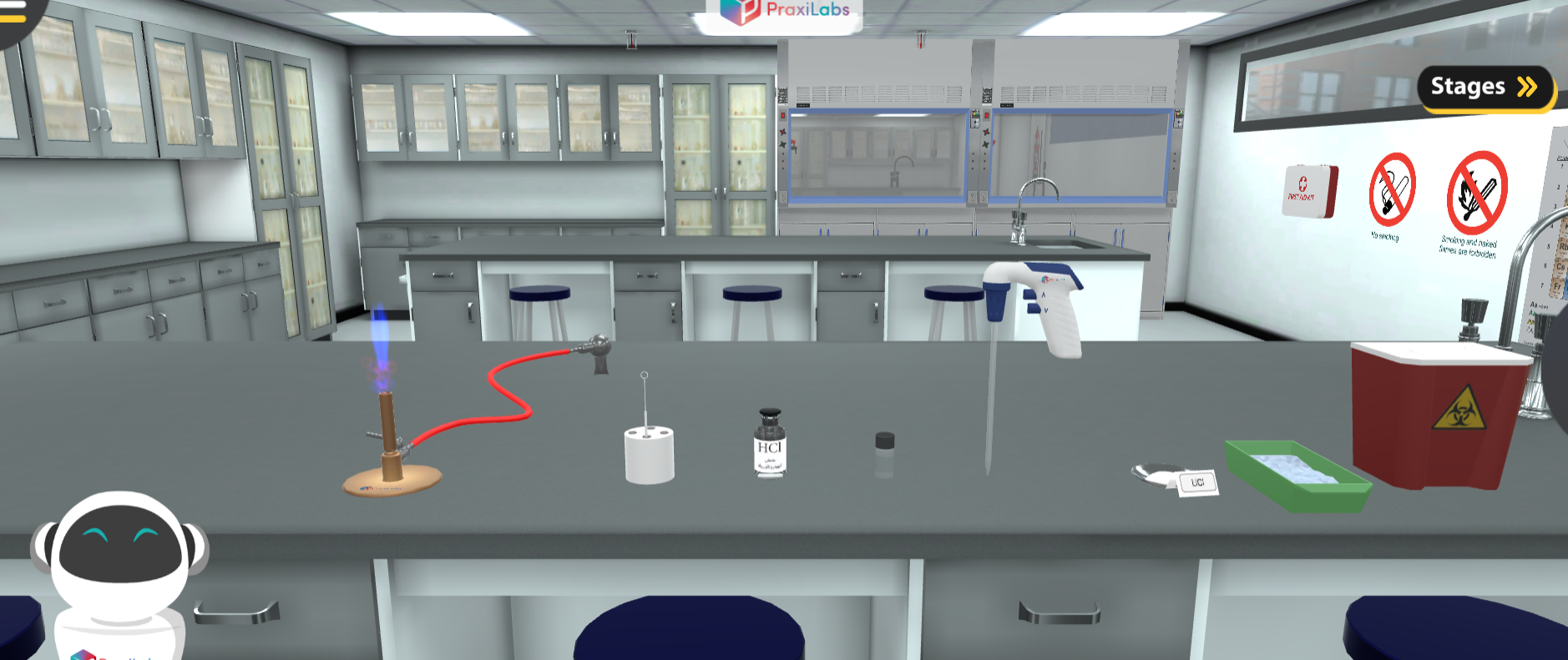Flame Test Virtual Lab Simulation | PraxiLabs