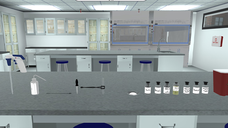 Test for Unknown Basic Radical 15 Virtual Lab | PraxiLabs