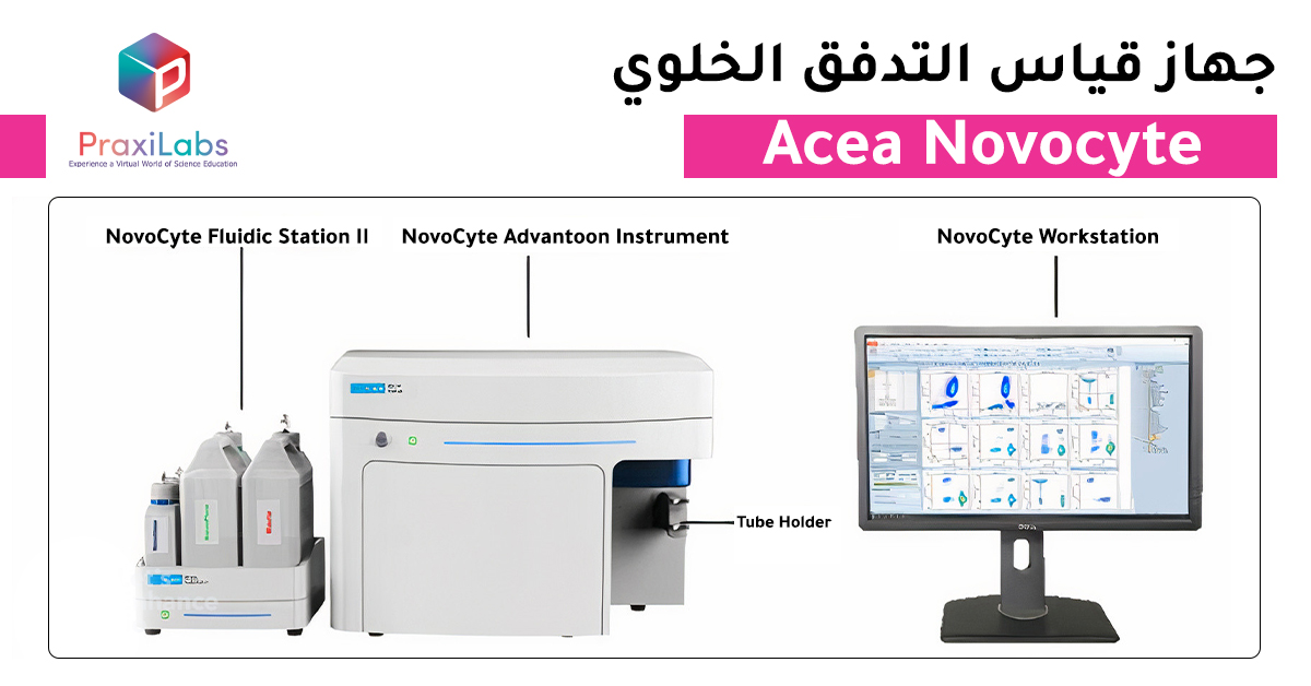       جھاز قیاس التدفق الخلوي  Acea novocyte