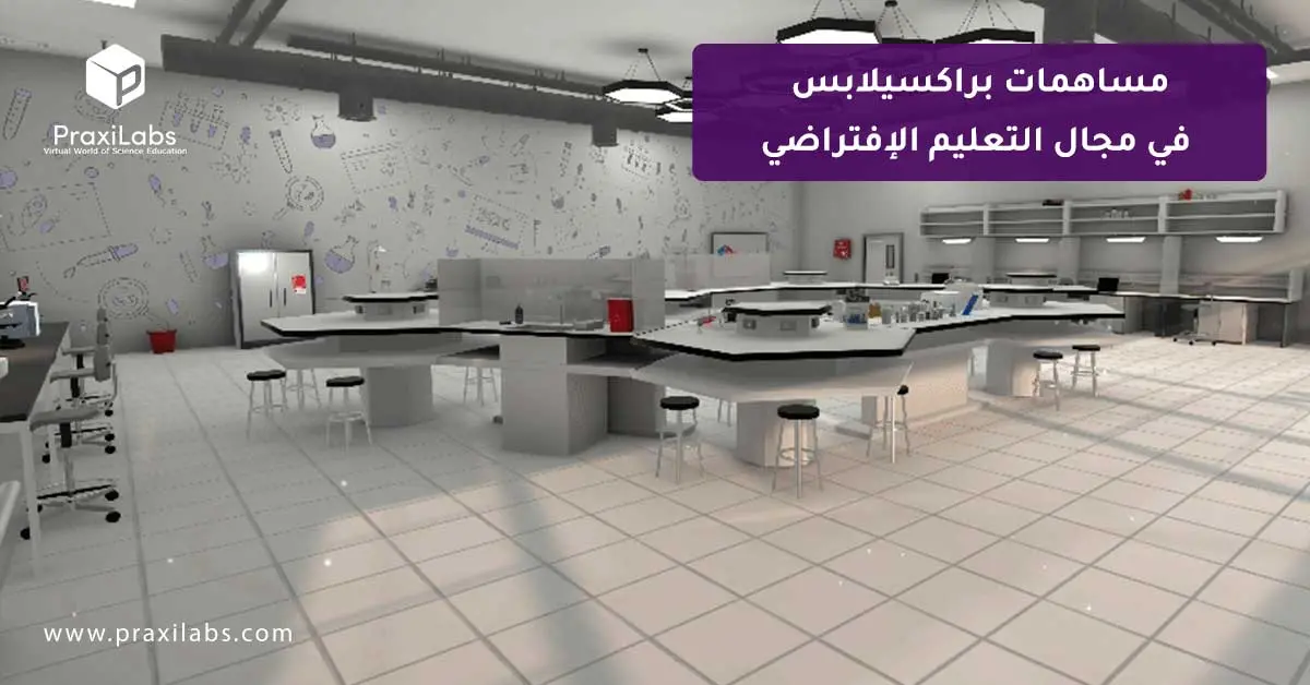 مساهمات براكسيلابس في مجال التعليم الإفتراضي