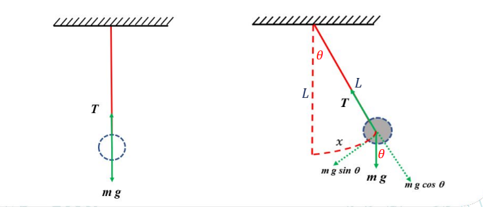 البندول البسيط 