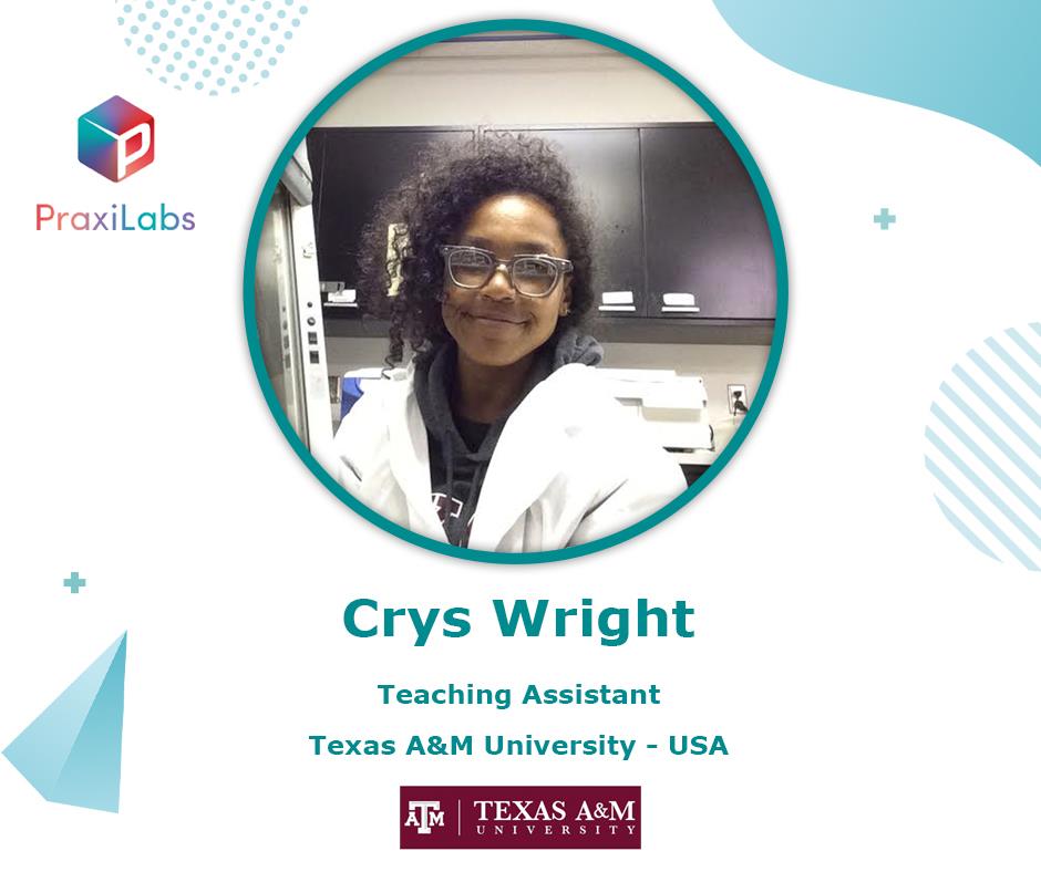 Chris Wright, assistant professor in the Department of Entomology at Texas A&M University