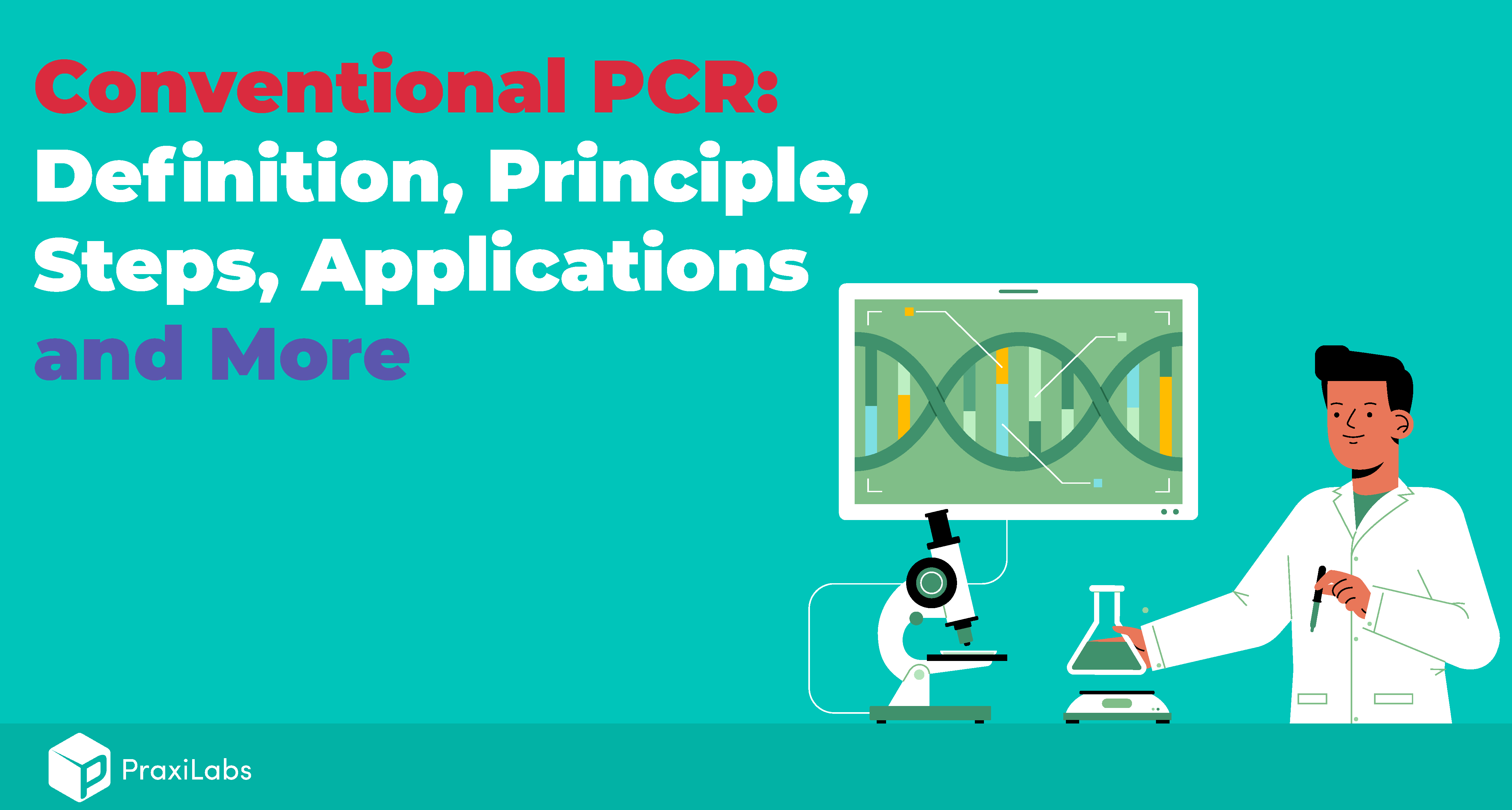 What Are The Three Basic Steps of Conventional PCR?