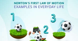 newton's first law of motion examples in everyday life