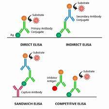 The following figure shows the difference between direct and indirect ELISA