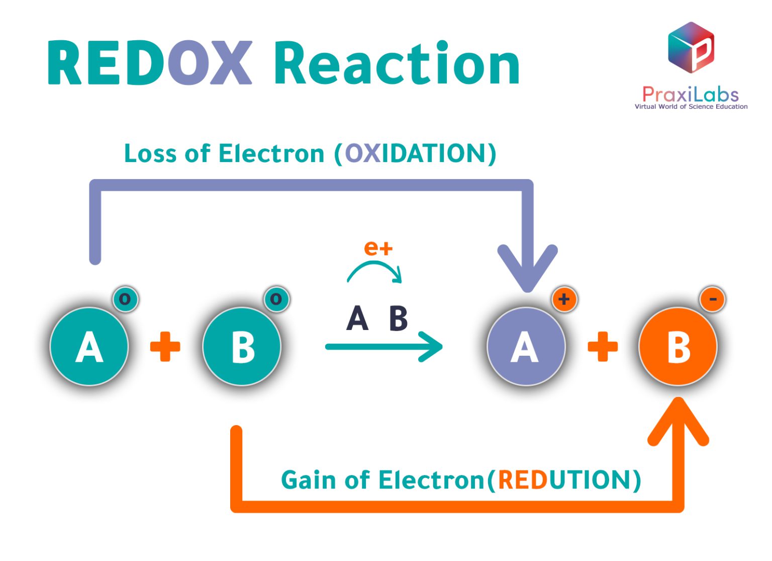 Oxidation And Reduction Reactions With Examples Praxilabs