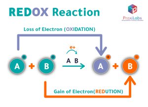 Illustration of redox reaction