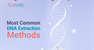 7 Different DNA Extraction Methods
