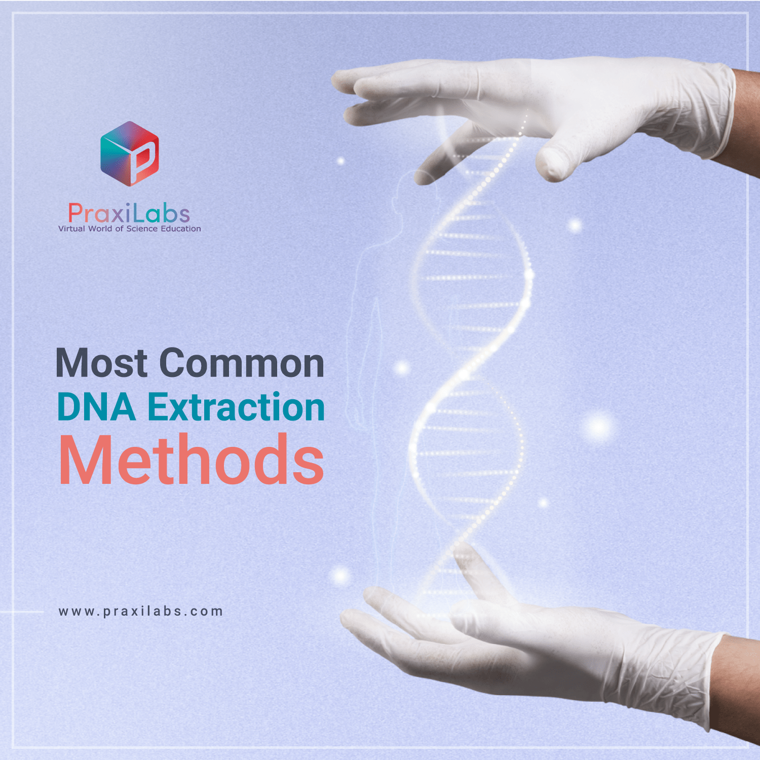 7 Different Dna Extraction Methods Praxilabs 6227