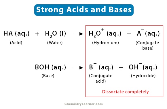 strong acids and bases
