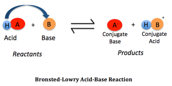 (Bronsted-Lowry acid