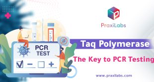 The PCR Test and Taq Polymerase