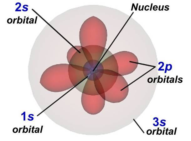 the orbitals
