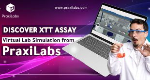 Discover XTT Assay Virtual Lab Simulation from PraxiLabs