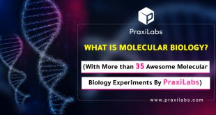 What is Molecular Biology (With +35 Molecular Biology Experiments by PraxiLabs)