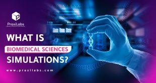 What are Biomedical Sciences Simulations?