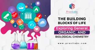 The Building Blocks of Life: Exploring General, Organic, and Biological Chemistry
