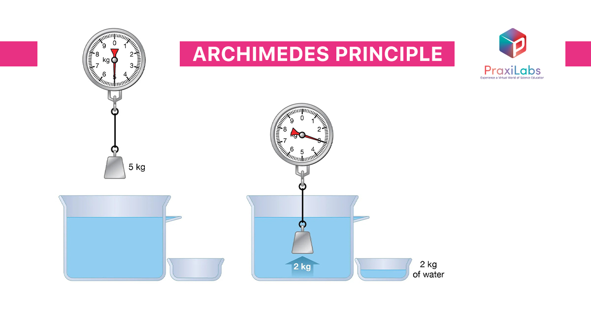 What is Archimedes Principle?
