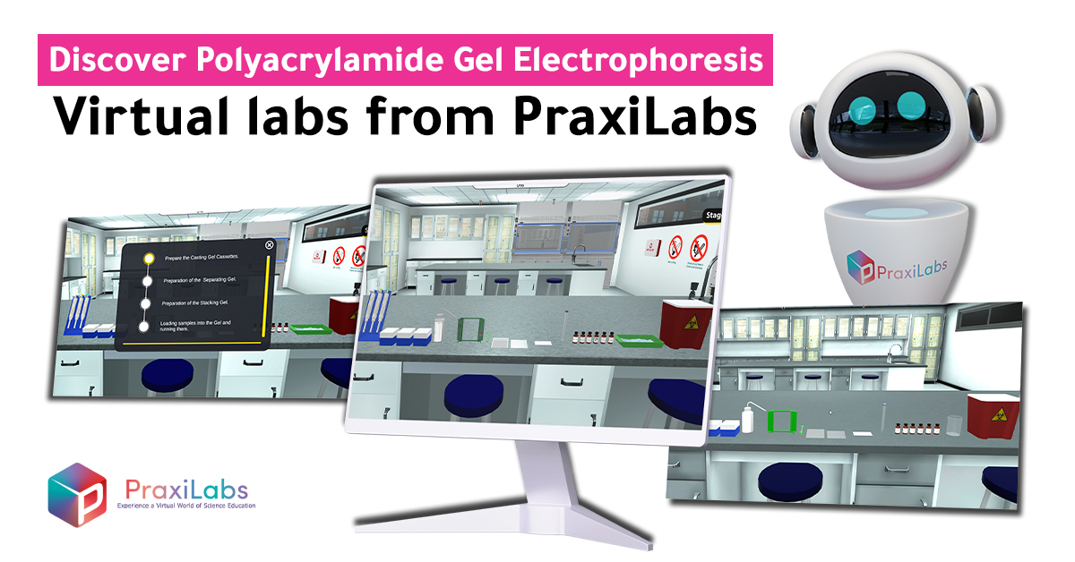 Discover Polyacrylamide Gel Electrophoresis Virtual labs from PraxiLabs 