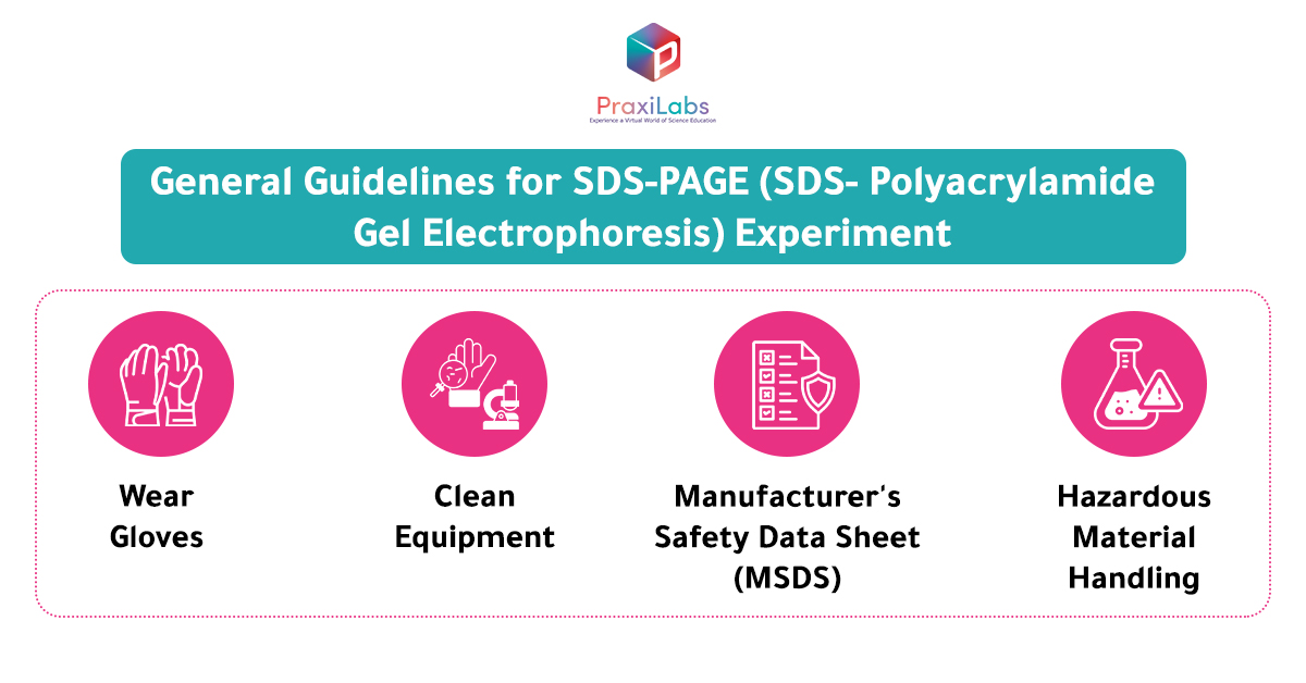 General Guidelines for SDS-PAGE (SDS- Polyacrylamide Gel Electrophoresis) Experiment