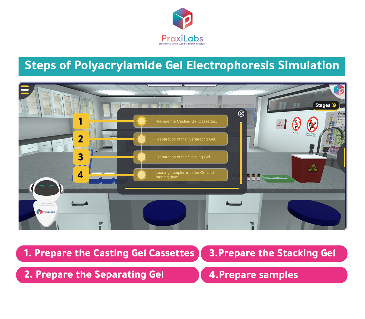  Steps of Polyacrylamide Gel Electrophoresis Simulation