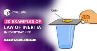 20 Examples of Law of Inertia In Everyday Life