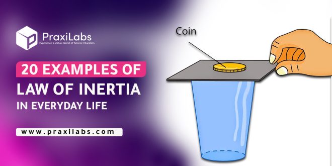 20 Examples of Law of Inertia In Everyday Life