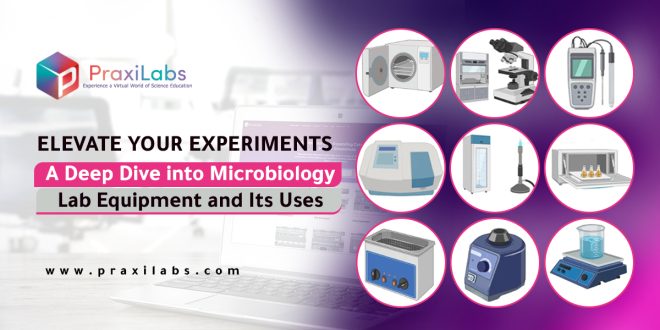 Elevate Your Experiments | A Deep Dive into Microbiology Lab Equipment and Its Uses