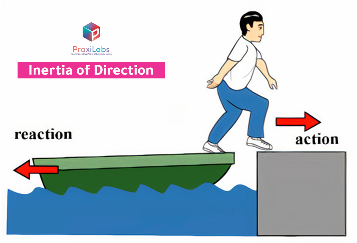 Inertia of Direction