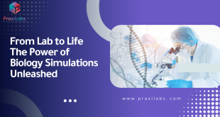 From Lab to Life: The Power of Biology Simulations Unleashed