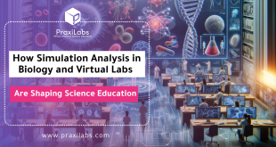 How Simulation Analysis in Biology and Virtual Labs are Shaping Science Education