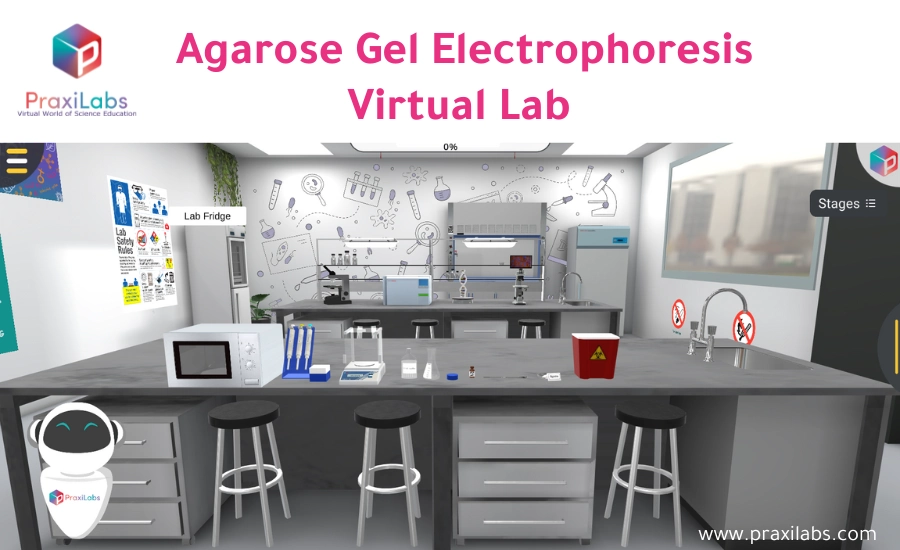 Virtual Genetics Labs-Agarose Gel Electrophoresis. 