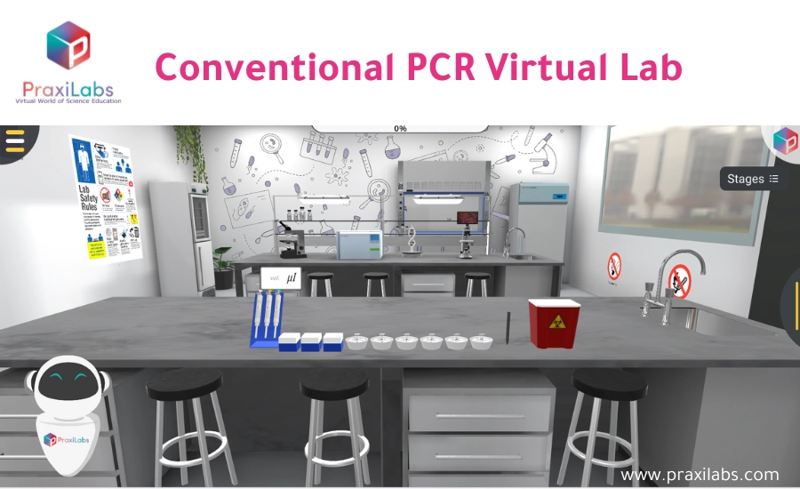 Conventional PCR- Virtual Genetics Labs 