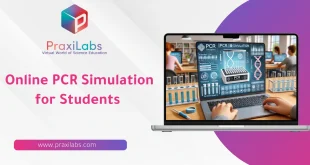 Online PCR Simulation for Students : Ease to Learn