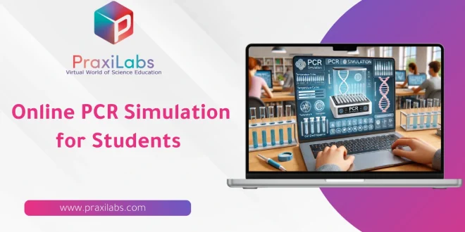 Online PCR Simulation for Students : Ease to Learn