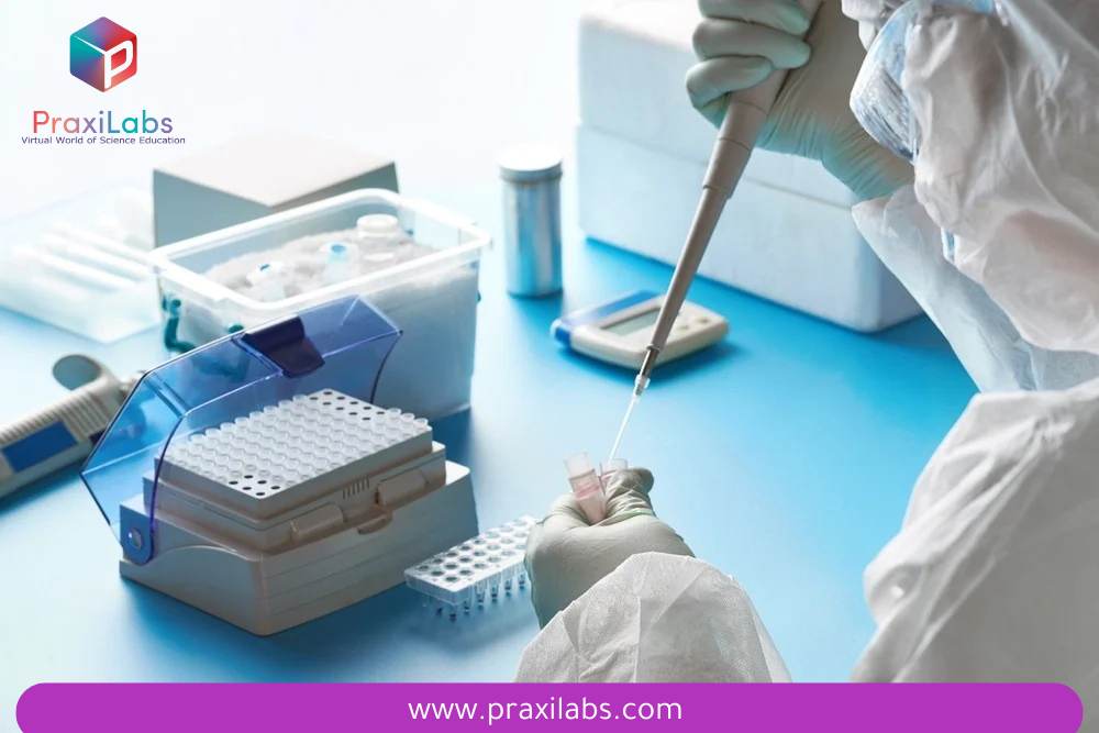 What is Polymerase Chain Reaction