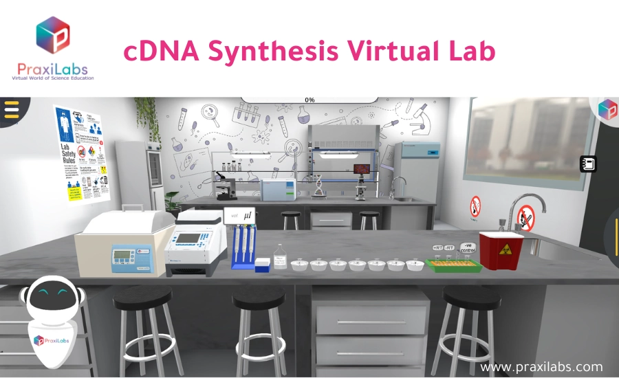 cDNA Synthesis - Virtual Genetics Labs 