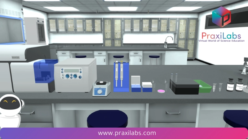 Virtual Lab in College Environment