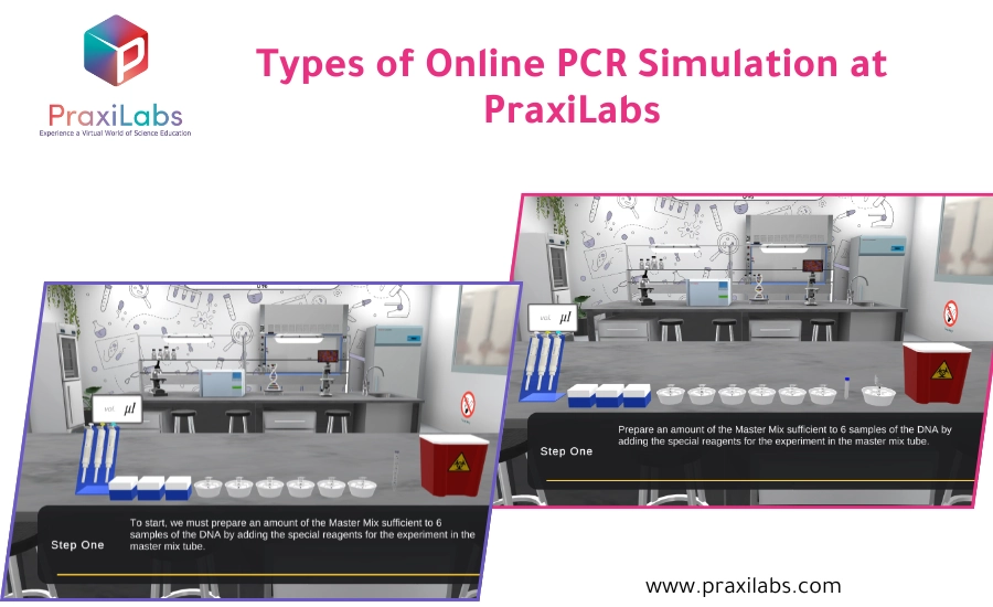 Explore the Types of Online PCR Simulation at PraxiLabs