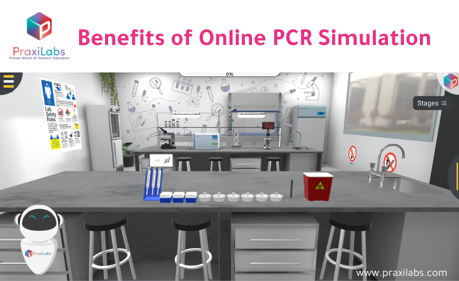 Benefits of Online PCR Simulation