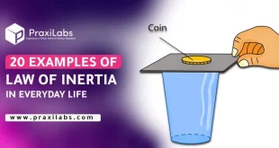 20 Examples of Law of Inertia In Everyday Life