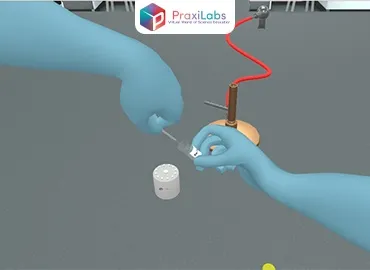 Bacterial Plating Out Technique Experiment (streak plate method)