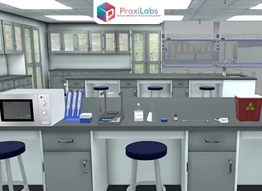 DNA Fingerprinting using Gel Electrophoresis Virtual Lab