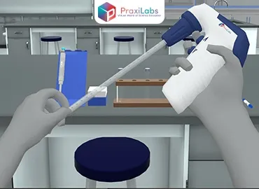 Coagulase Test Virtual Lab Simulation