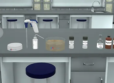 Diels Alder Reaction