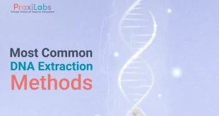 7 Different DNA Extraction Methods