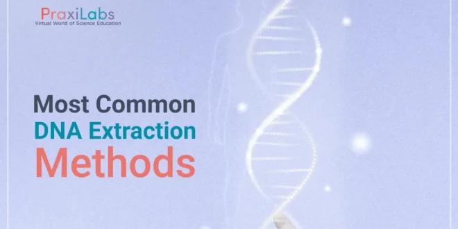 7 Different DNA Extraction Methods