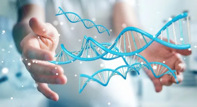 Different Types of DNA Extraction Methods