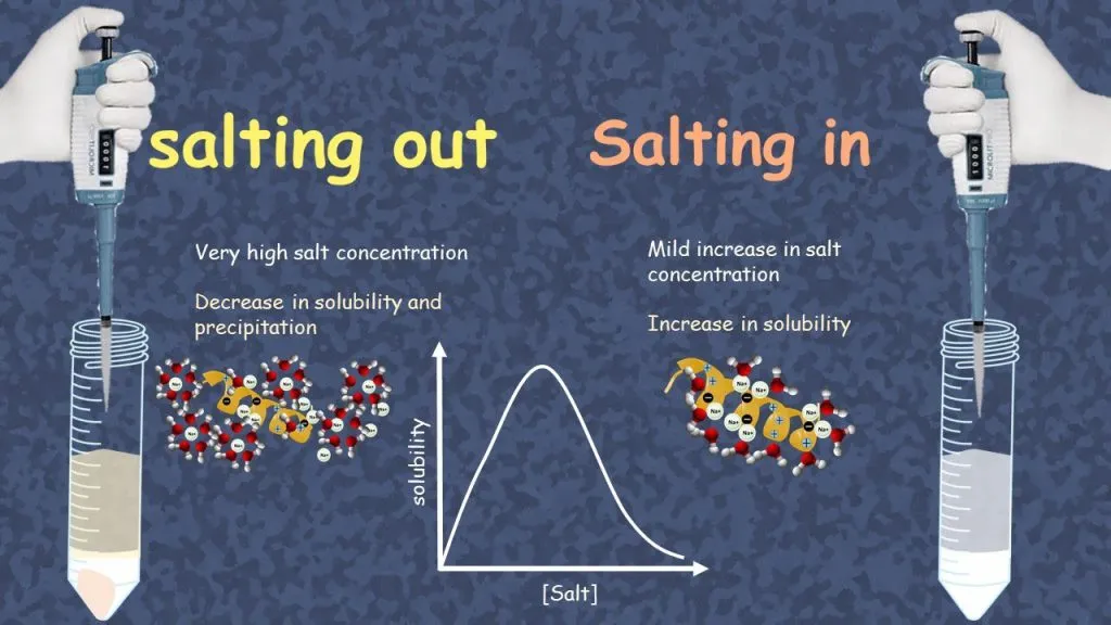The Salting-out DNA Extraction